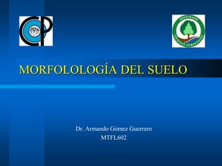 MORFOLOLOGÍA DEL SUELO
Dr. Armando Gómez Guerrero
MTFL602
 
