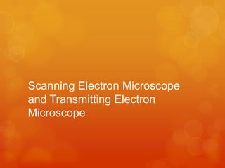 Scanning Electron Microscope
and Transmitting Electron
Microscope

 