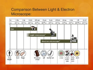 Comparison Between Light & Electron
Microscope:

 