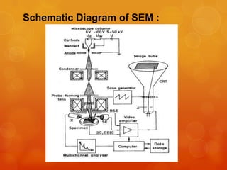 Schematic Diagram of SEM :

 