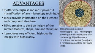 .
ADVANTAGES
• It offers the highest and most powerful
magnification of any microscopy technique.
• TEMs provide information on the element
and compound structure
• TEMs are able to yield an insight of the
surface features, shape, size and structure.
• It produces very efficient, high-quality
images with high clarity.
Transmission electron
microscope (TEM) micrograph
showing the ultrastructure of a
nucleus (gold) with a very
prominent nucleolus (blue) and
a remarkable nuclear envelope
(red).
 
