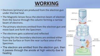 • Electrons (primary) are produced from the electron gun
under thermal heat.
• The Magnetic lenses focus the electron beam of electron
from the Source through the column forming a narrow
beam of electrons.
• The primary electrons emitted from the electron gun and
move back and forth the Specimen.
• The electrons gets scattered and reflected
• During this the Secondary electrons are emitted either
from the Surface or from the near surface area of the
Specimen.
• The electron are emitted from the electron gun, then
it passes through the anode at high velocity due to
heating
 