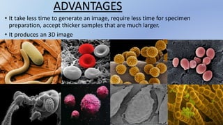 • It take less time to generate an image, require less time for specimen
preparation, accept thicker samples that are much larger.
• It produces an 3D image
ADVANTAGES
POLLEN GRAINS
BULLET ANT CANCER CELLS
 