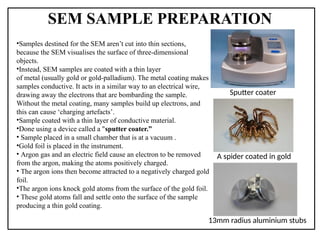 Scanning electron microscope and transmitance | PPTX