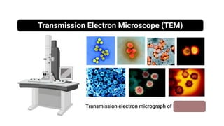SEM and TEM Principles_ Operation & Working with Schematics (1).pdf