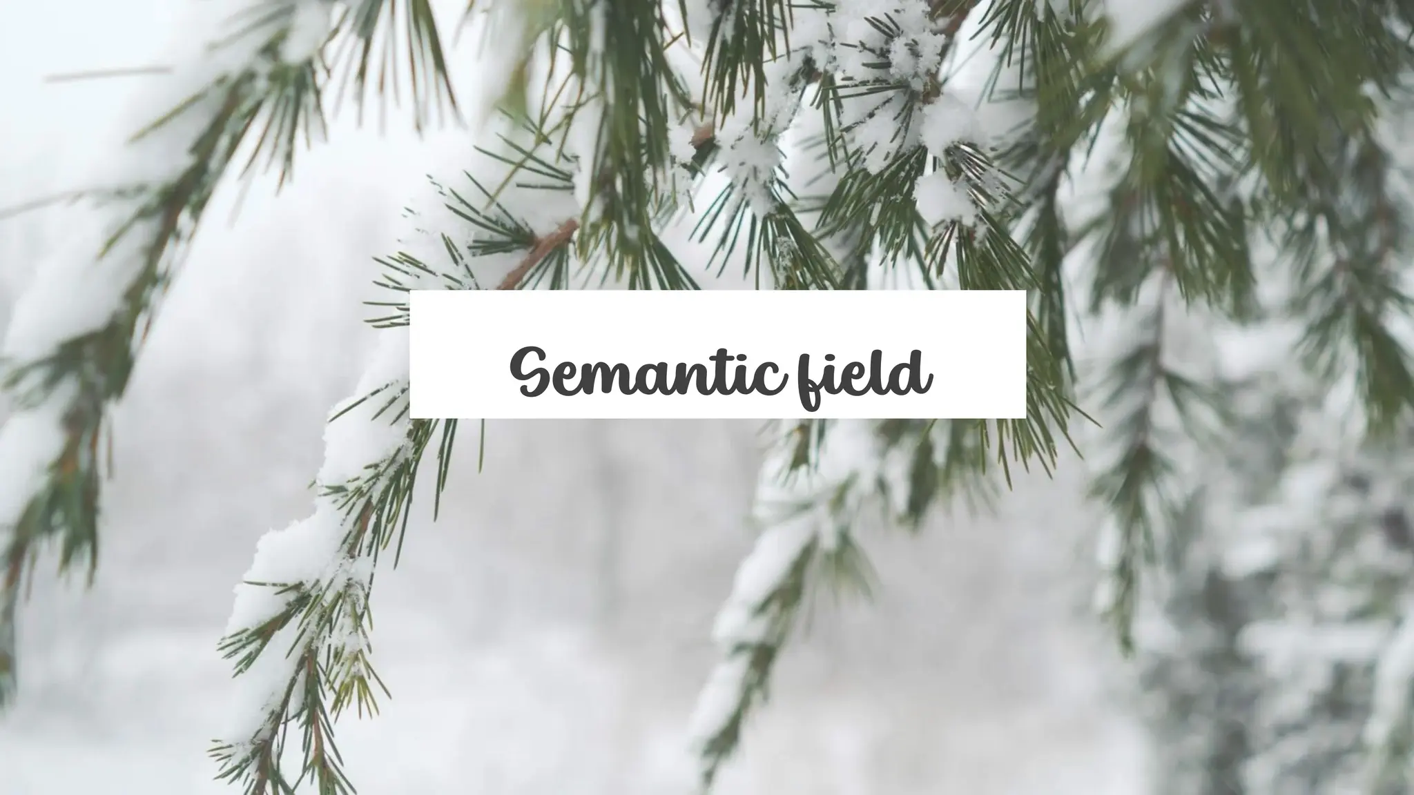 Semantic field