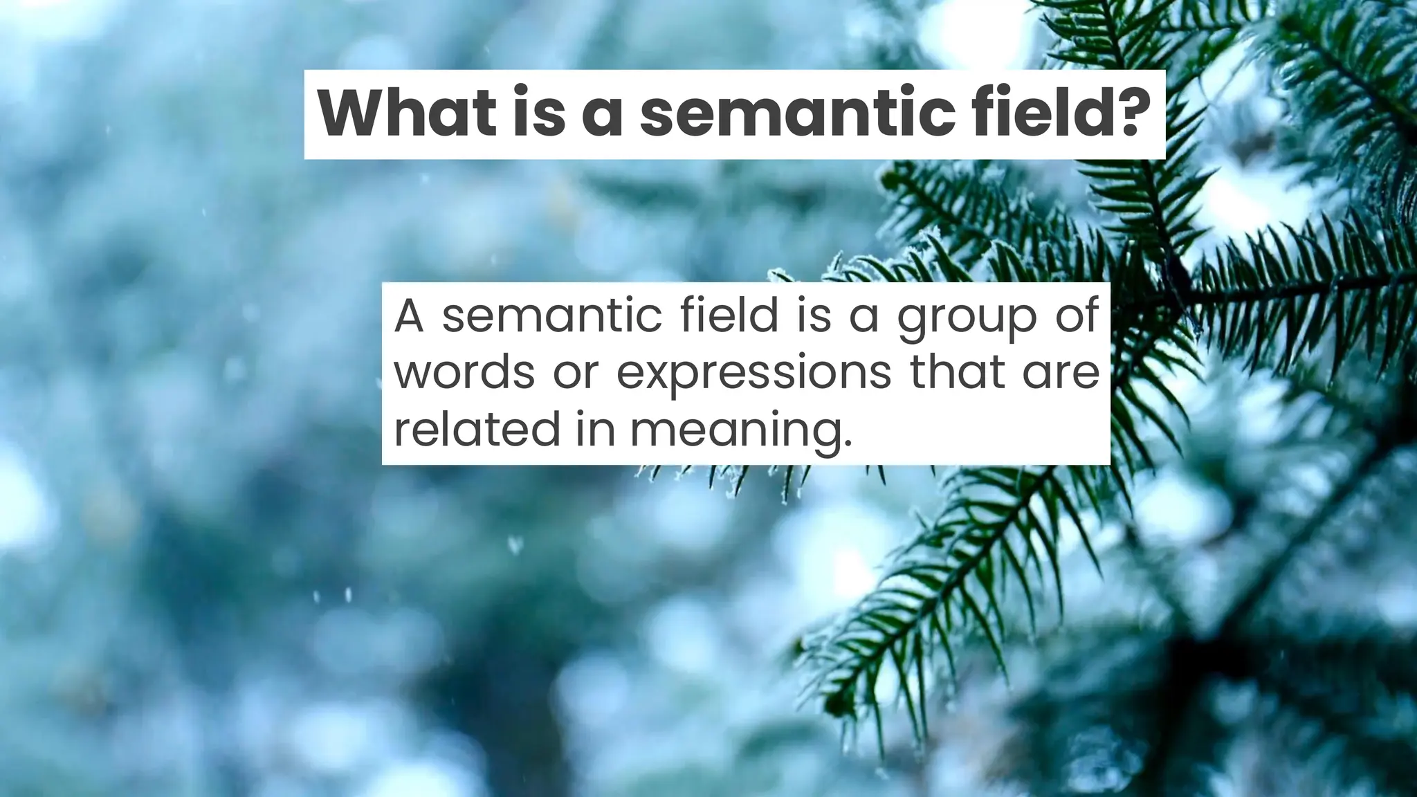 A semantic field is a group of
words or expressions that are
related in meaning.
What is a semantic field?