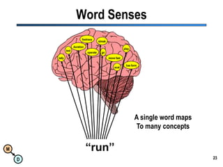 23Word Sensesfootracestreakdurationplaytestgooperatetallymove fasthas formscatA single word mapsTo many concepts“run”