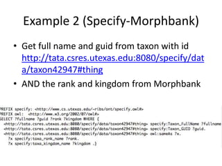 Query the Web of Linked Data with DiamondSPARQLQueryDiamondUltrawrapUltrawrapSpecifyUltrawrapMorphsterMorphbank