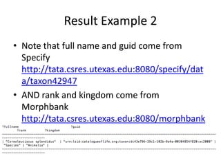 Example 1 (Specify – DBpedia)Get full name and guid from taxon with id http://tata.csres.utexas.edu:8080/specify/data/taxon51807#thingAND fin any subjects it may have “skos:subject”