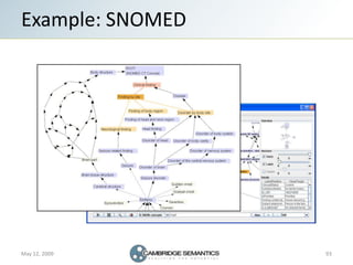 Semantic Web Landscape 2009
