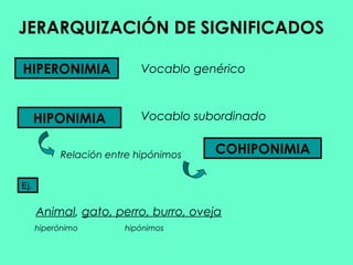 JERARQUIZACIÓN DE SIGNIFICADOS

HIPERONIMIA               Vocablo genérico



      HIPONIMIA           Vocablo subordinado


           Relación entre hipónimos   COHIPONIMIA

Ej.


      Animal, gato, perro, burro, oveja
      hiperónimo       hipónimos
 