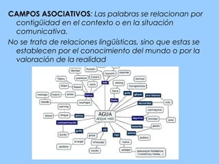 CAMPOS ASOCIATIVOS: Las palabras se relacionan por
  contigüidad en el contexto o en la situación
  comunicativa.
No se trata de relaciones lingüísticas, sino que estas se
  establecen por el conocimiento del mundo o por la
  valoración de la realidad
 