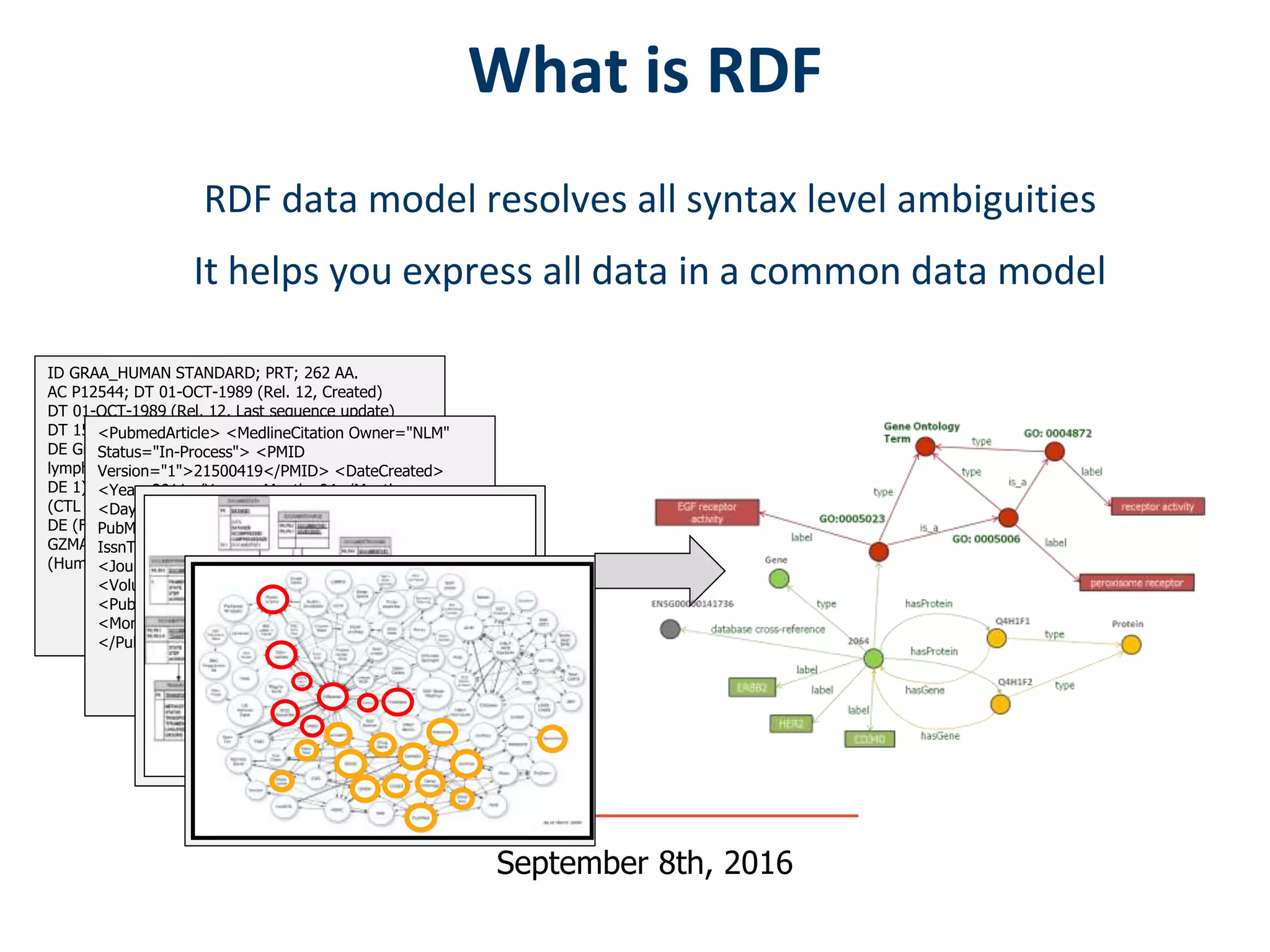 September 8th, 2016
What is RDF
RDF data model resolves all syntax level ambiguities
It helps you express all data in a common data model
ID GRAA_HUMAN STANDARD; PRT; 262 AA.
AC P12544; DT 01-OCT-1989 (Rel. 12, Created)
DT 01-OCT-1989 (Rel. 12, Last sequence update)
DT 15-JUN-2002 (Rel. 41, Last annotation update)
DE Granzyme A precursor (EC 3.4.21.78) (Cytotoxic T-
lymphocyte proteinase
DE 1) (Hanukkah factor) (H factor) (HF) (Granzyme 1)
(CTL tryptase)
DE (Fragmentin 1). GN
GZMA OR CTLA3 OR HFSP. OS Homo sapiens
(Human).
<PubmedArticle> <MedlineCitation Owner="NLM"
Status="In-Process"> <PMID
Version="1">21500419</PMID> <DateCreated>
<Year>2011</Year> <Month>04</Month>
<Day>15</Day> </DateCreated> <Article
PubModel="Print"> <Journal> <ISSN
IssnType="Electronic">1520-6882</ISSN>
<JournalIssue CitedMedium="Internet">
<Volume>82</Volume> <Issue>20</Issue>
<PubDate> <Year>2010</Year>
<Month>Oct</Month> <Day>15</Day>
</PubDate> </JournalIssue>
 