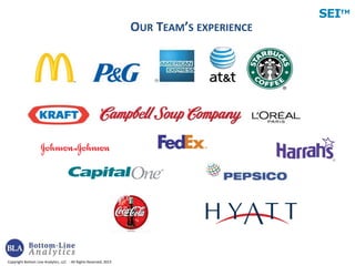 Copyright Bottom Line Analytics, LLC - All Rights Reserved, 2013
SEITM
OUR TEAM’S EXPERIENCE
 