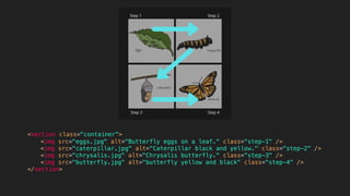 <section class="container">
<img src="eggs.jpg" alt="Butterfly eggs on a leaf." class="step-1" />
<img src="caterpillar.jpg" alt="Caterpillar black and yellow." class="step-2" />
<img src="chrysalis.jpg" alt="Chrysalis butterfly." class="step-3" />
<img src="butterfly.jpg" alt="butterfly yellow and black" class="step-4" />
</section>
 