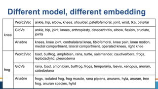 #EMEARC17
Different model, different embedding
knee
Word2Vec ankle, hip, elbow, knees, shoulder, patellofemoral, joint, wrist, tka, patellar
GloVe ankle, hip, joint, knees, arthroplasty, osteoarthritis, elbow, flexion, cruciate,
joints
Ariadne knees, knee joint, contralateral knee, tibiofemoral, knee pain, knee motion,
medial compartment, lateral compartment, operated knees, right knee
frog
Word2Vec toad, bullfrog, amphibian, rana, turtle, salamander, caudiverbera, frogs,
leptodactylid, pleurodema
GloVe rana, toad, amphibian, bullfrog, frogs, temporaria, laevis, xenopus, anuran,
catesbeiana
Ariadne frogs, isolated frog, frog muscle, rana pipiens, anurans, hyla, anuran, tree
frog, anuran species, hylid
 