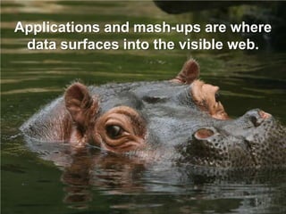Applications and mash-ups are where
 data surfaces into the visible web.
 