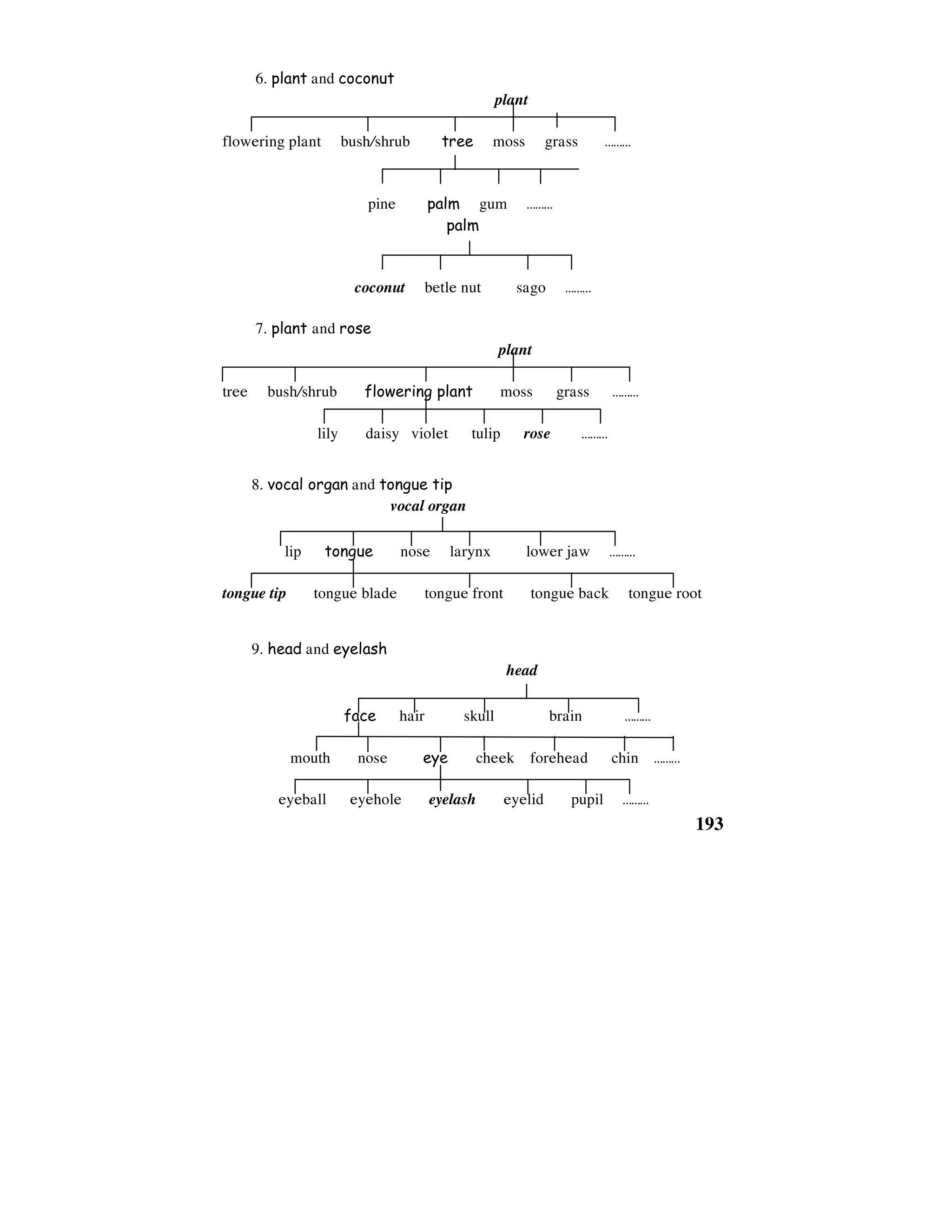 193
6. plant and coconut
plant
flowering plant bush/shrub tree moss grass ………
pine palm gum ………
palm
coconut betle nut sago ………
7. plant and rose
plant
tree bush/shrub flowering plant moss grass ………
lily daisy violet tulip rose ………
8. vocal organ and tongue tip
vocal organ
lip tongue nose larynx lower jaw ………
tongue tip tongue blade tongue front tongue back tongue root
9. head and eyelash
head
face hair skull brain ………
mouth nose eye cheek forehead chin ………
eyeball eyehole eyelash eyelid pupil ………
 