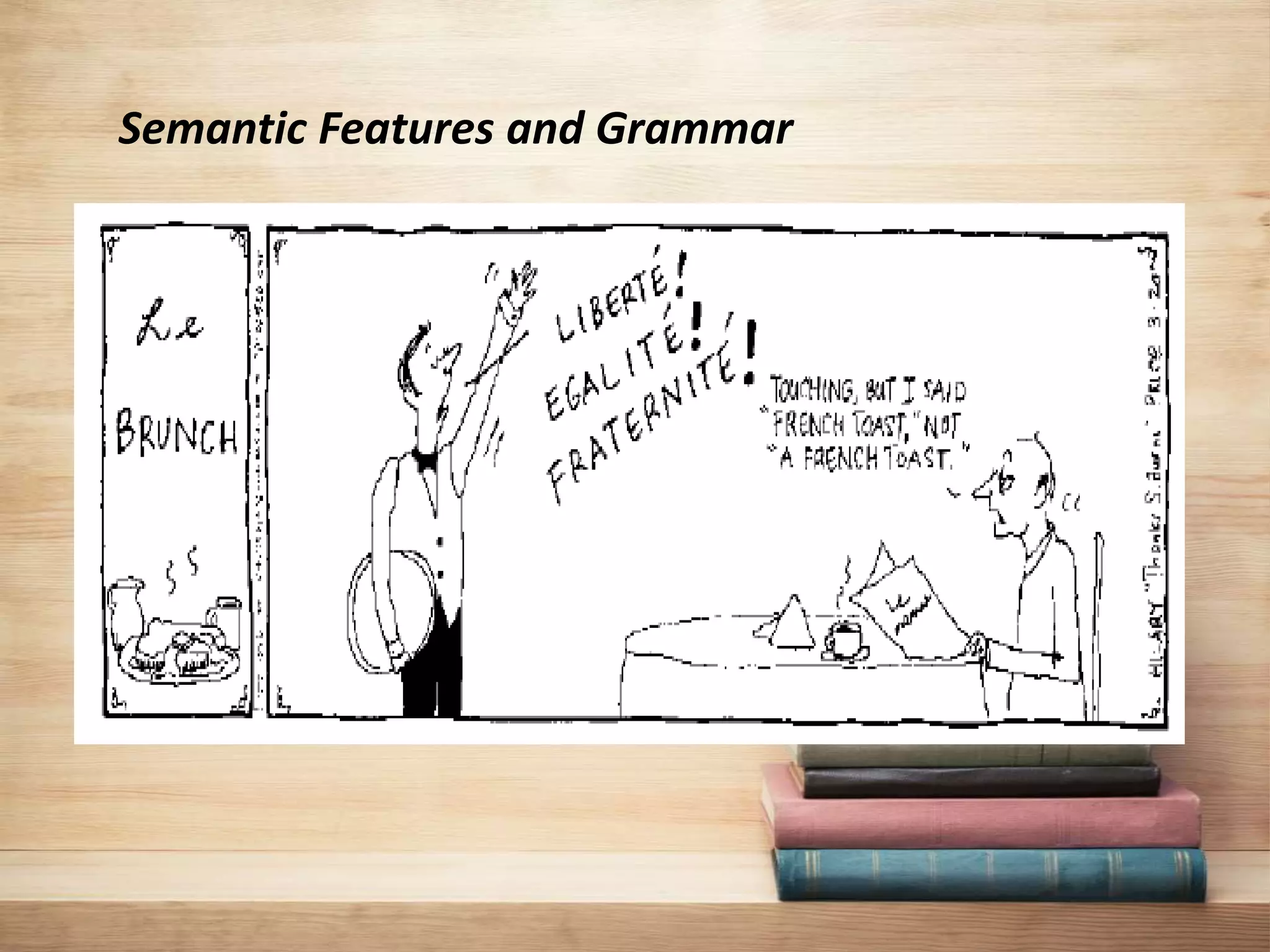 Semantic Features and Grammar
 