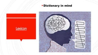 Lexicon
Dictionary in mind
 