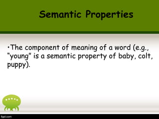 •The component of meaning of a word (e.g.,
“young” is a semantic property of baby, colt,
puppy).
Semantic Properties
 