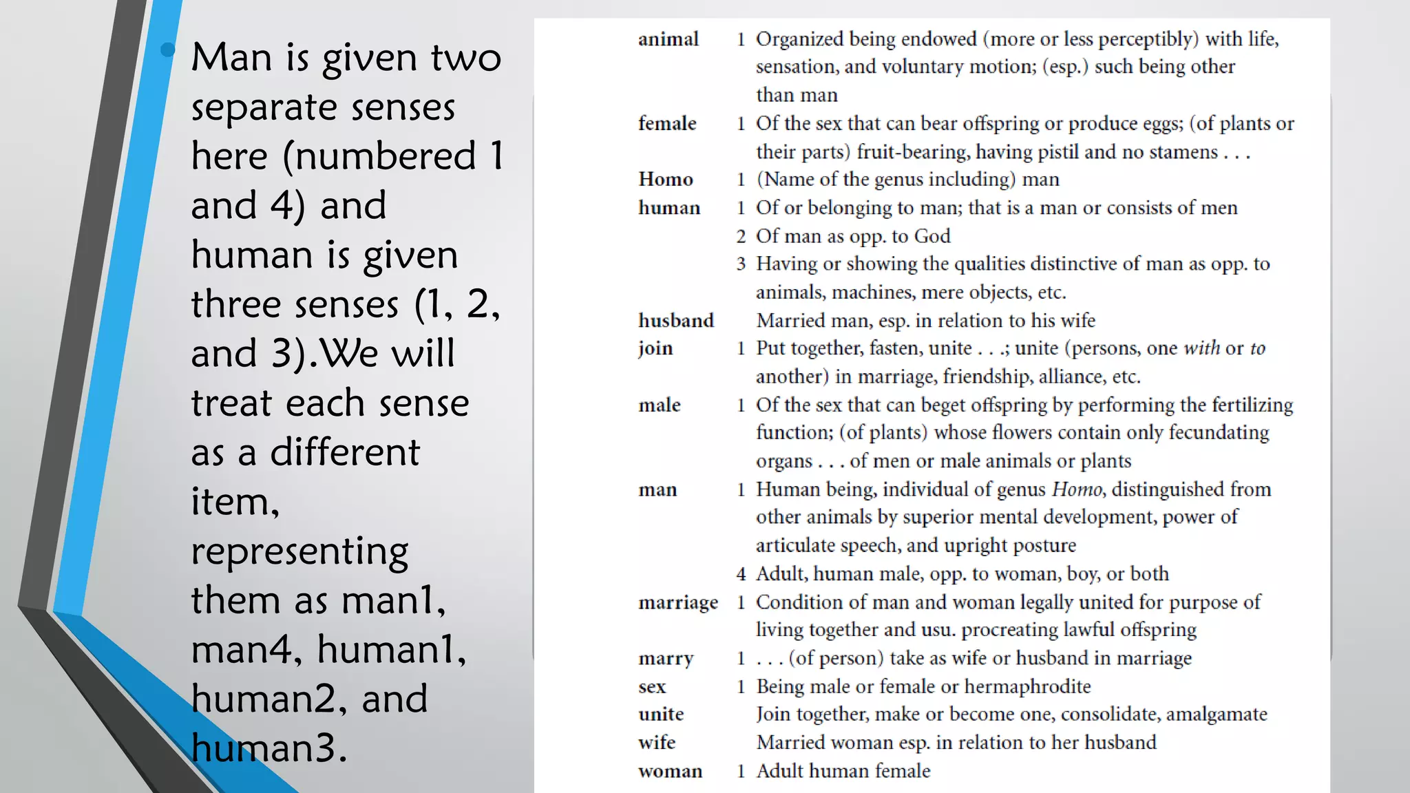 • Man is given two
separate senses
here (numbered 1
and 4) and
human is given
three senses (1, 2,
and 3).We will
treat each sense
as a different
item,
representing
them as man1,
man4, human1,
human2, and
human3.
 