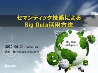 Big Data
                                 Intelligence
2012. 06. 04   / Saltlux, Inc.
氏家 真/ mujike@saltlux.com
 