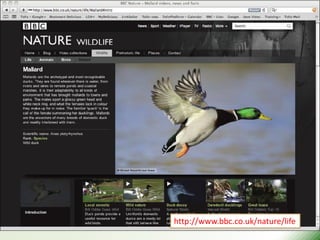 http://www.bbc.co.uk/nature/life
 