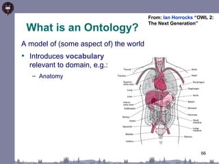 66 
What is an Ontology? 
A model of (some aspect of) the world 
• Introduces vocabulary 
relevant to domain, e.g.: 
– Anatomy 
From: Ian Horrocks “OWL 2: 
The Next Generation” 
 