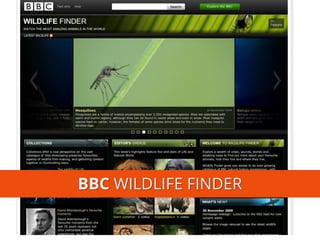 BBCWILDLIFE FINDER  