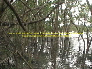 Com O  ATER RFIZERAM  BARRACOS PARA FICAR MAIS PERTO DA FABRIC A,  E assim CONSEGUIR UM EMPREGO NA FABRICA 