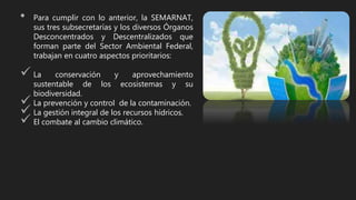 • Para cumplir con lo anterior, la SEMARNAT,
sus tres subsecretarías y los diversos Órganos
Desconcentrados y Descentralizados que
forman parte del Sector Ambiental Federal,
trabajan en cuatro aspectos prioritarios:
 La conservación y aprovechamiento
sustentable de los ecosistemas y su
biodiversidad.
 La prevención y control de la contaminación.
 La gestión integral de los recursos hídricos.
 El combate al cambio climático.
 