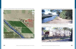 234 Compendio de Identificación de Asentamientos Humanos en Cauces Federales Compendio de Identificación de Asentamientos Humanos en Cauces Federales 235
Localidad de Las Guayabitas localizada por la márgen izquierda del Río Mayo. Aquí se inundan puros terrenos agrícolas.
Fuente: Adaptado de google Earth por la Coordinación de Atención a Emergencias y Consejos de Cuenca, Marzo de 2011.
Aquí se puede observar el canal lateral que sirve como protección ante posibles avenidas extraordinarias del Río Mayo.
En esta imagen se observan los corrales y cercos que representan una barrera para el momento en que se tengan escu-
rrimientos extraordinarios por el Río.
Fuente: Archivo fotográfico de la Coordinación de Atención a Emergencias y Consejos de Cuenca, Febrero de 2011.
Fuente: Archivo fotográfico de la Coordinación de Atención a Emergencias y Consejos de Cuenca, Febrero de 2011.
 