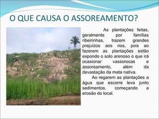 O QUE CAUSA O ASSOREAMENTO? As plantações feitas, geralmente por famílias ribeirinhas, trazem grandes prejuízos aos rios, pois ao fazerem as plantações estão expondo o solo arenoso o que irá ocasionar vassorocas e assoreamento, além da devastação da mata nativa.  Ao regarem as plantações a água que escorre leva junto sedimentos, começando a erosão do local. 