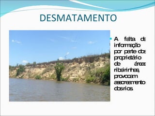 DESMATAMENTO A falta de informação por parte dos proprietário de áreas ribeirinhas, provocam assoreamento dos rios. 