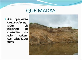 QUEIMADAS As queimadas descontroladas, além de retirarem os nutrientes do solo, acabam com a fauna e a flora. 