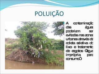 POLUIÇÃO A contaminação das águas poderiam ser evitadas nas zonas urbanas através de coleta seletiva do lixo e tratamento de esgotos “água imprópria para consumo”. 