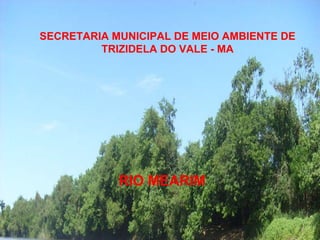 SECRETARIA MUNICIPAL DE MEIO AMBIENTE DE TRIZIDELA DO VALE - MA RIO MEARIM 