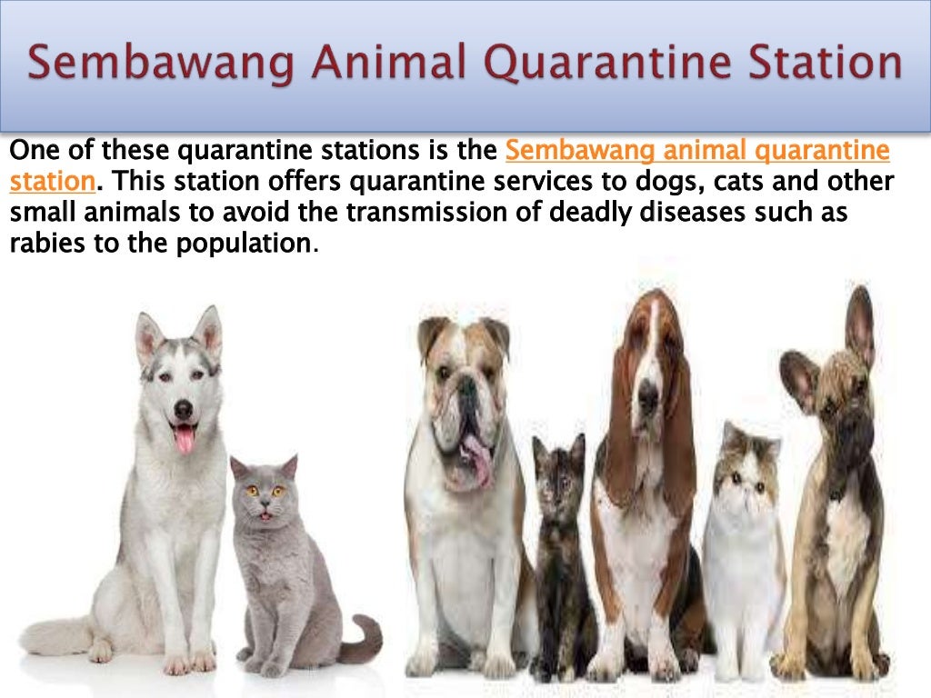 Sembawang animal quarantine station