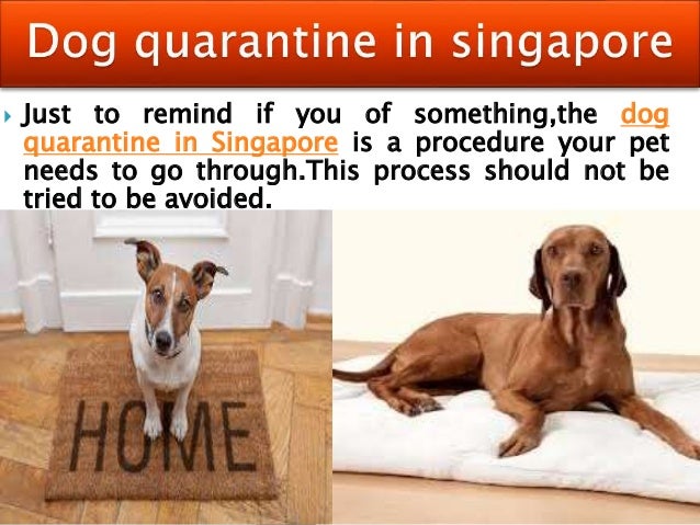Sembawang animal quarantine station