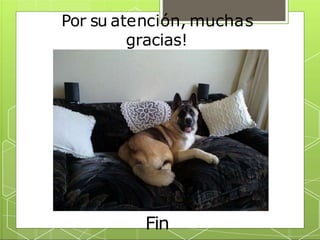 Por su atención, muchas
gracias!
Fin
 