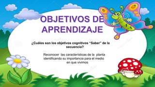 ¿Cuáles son los objetivos cognitivos “Saber” de la
secuencia?
Reconocer las características de la planta
identificando su importancia para el medio
en que vivimos
 