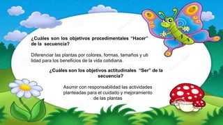 ¿Cuáles son los objetivos procedimentales “Hacer”
de la secuencia?
Diferenciar las plantas por colores, formas, tamaños y uti
lidad para los beneficios de la vida cotidiana.
¿Cuáles son los objetivos actitudinales “Ser” de la
secuencia?
Asumir con responsabilidad las actividades
planteadas para el cuidado y mejoramiento
de las plantas
 