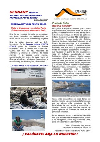 26
SERNANP SERVICIO
NACIONAL DE ÁREAS NATURALES
PROTEGIDAS POR EL ESTADO
DIANA TORRES*
RESERVA NATURAL PUNTA COLES
Viajar a Moquegua y no visitar Punta
Coles es no querer conocer el Perú.
Una de las riquezas del país es su paisaje,
sus áreas naturales, su biodiversidad, su
fauna y flora, su cultura, producción y su gente
Una de estas riquezas está en ILO,
Moquegua. Es la Reserva Natural PUNTA
COLES, parte del Sistema de Puntas
Guaneras, Islas e Islotes del SERNANP.
Cuenta con más de 150 hectáreas de
extensión y alberga a colonias de lobos
marinos y la escasa nutria marina,
compartiendo con miles de aves, como el
Guanay, el pelicano, el piquero, las gaviotas y
el infaltable y escaso Pingüino de Humboldt.
LOS INVITAMOS A VISITAR PUNTA COLES
Punta de Coles
Reserva natural**
Al ingresar a Ilo por la carretera que lo une a
la panamericana, cinco km antes de llegar al
puerto, se observa desde lo alto de las lomas
la hermosa península de Punta de Coles en
toda su magnitud. Las casi 180 hectáreas que
la componen forman parte del Sistema
Nacional de Áreas Naturales Protegidas por el
Estado, lo que contribuye a la protección y
preservación de la fauna. Un alto muro impide
el acceso libre a la zona, lo que constituye un
modo de custodiar celosamente la mayor de
sus riquezas: el guano de isla, deyecciones
ricas en fosfatos, considerado el mejor
fertilizante natural utilizado desde épocas
preincaicas. Este tesoro es producido por las
miles de aves que allí anidan, principalmente
por el guanay y, en menor escala, el pelícano
y el piquero. También habitan en este reserva
natural gaviotas, cormoranes, y los escasos y
graciosos pingüinos de Humboldt,
compartiendo el territorio con una importante
colonia de lobos marinos y con el cada vez
más escaso Chungungo (como se llama en la
zona a la Nutria marina).
Todos ellos encuentran en estas tierras un
pacífico refugio. La península está flanqueada
por las playas más populares de Ilo:
Pozo´elisas, la más amplia y concurrida, y
Gentilar, desde cuyas blancas arenas se
puede apreciar las colonias de lobos en los
peñascos cercanos.
En su extremo estuvo colocado un hermoso
faro que durante más de sesenta años orientó
a los navegantes, y que hoy se luce en Lima,
junto a los acantilados de Miraflores.
** Libro “101 razones para sentirse
orgullosos de Moquegua” Página 26
* Coordinadora Reserva Natural Punta Coles
¡ VALÓRATE: AMA LO NUESTRO !
 