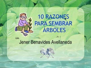 10 RAZONES  PARA SEMBRAR  ÁRBOLES Jener Benavides Avellaneda Lic. 
