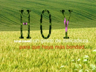 sembraré un gesto de delicadeza... para que haya más bondad. H O Y