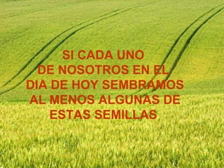 SI CADA UNO DE NOSOTROS EN EL DIA DE HOY SEMBRAMOS AL MENOS ALGUNAS DE ESTAS SEMILLAS
