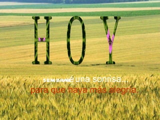 sembraré una sonrisa... para que haya más alegría. H O Y