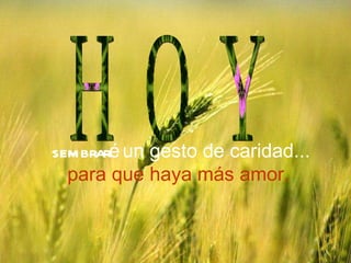 sembraré un gesto de caridad... para que haya más amor. H O Y